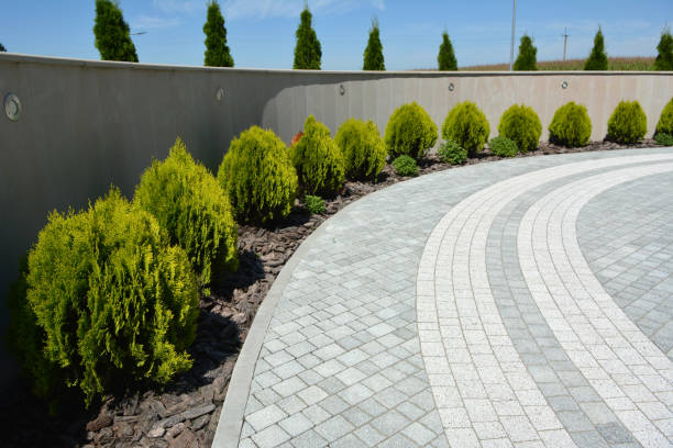 Best Driveway Paving Company  in Honeygo, MD
